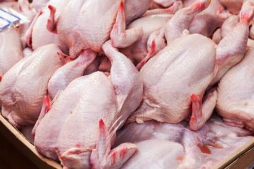 ذخیره گوشت مرغ در آستانه ایام عید نوروز و ماه مبارک رمضان