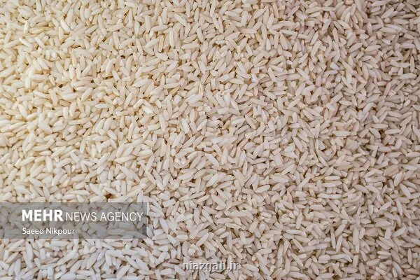 واردات برنج تسهیل شد اما نقدینگی وجود ندارد